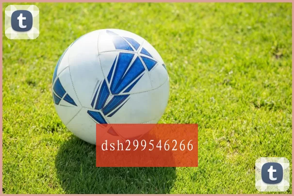 dsh299546266