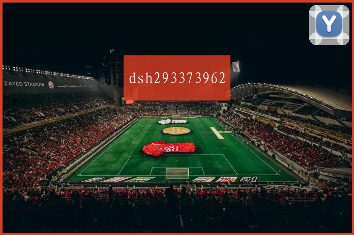 dsh293373962