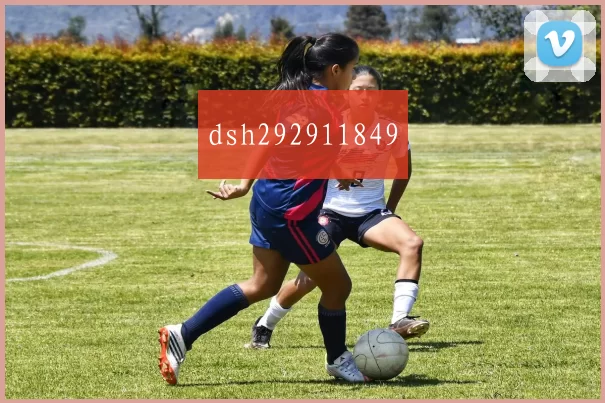 dsh292911849