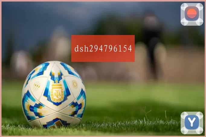 dsh294796154
